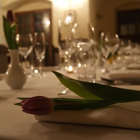 Bed & Breakfast Zamek Na Wodzie W Wojnowicach 3*